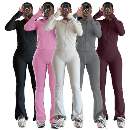 Women’s Hooded Tracksuit 2 Piece Set Jacket and Jogger Pants Spring Fall